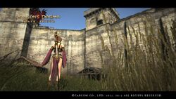 Berserkin Set Dragon S Dogma Wiki Fandom