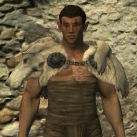 Direwolf Cape Dragon S Dogma Wiki Fandom Occasionally found in the catacombs either : direwolf cape dragon s dogma wiki