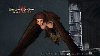 Dragon's Dogma : The Beginning, Dragon's Dogma Wiki