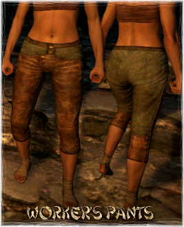 Armour Legs Worker's Pants