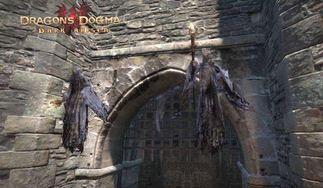 Dragons Dogma : From a Different Sky 39 - 40 