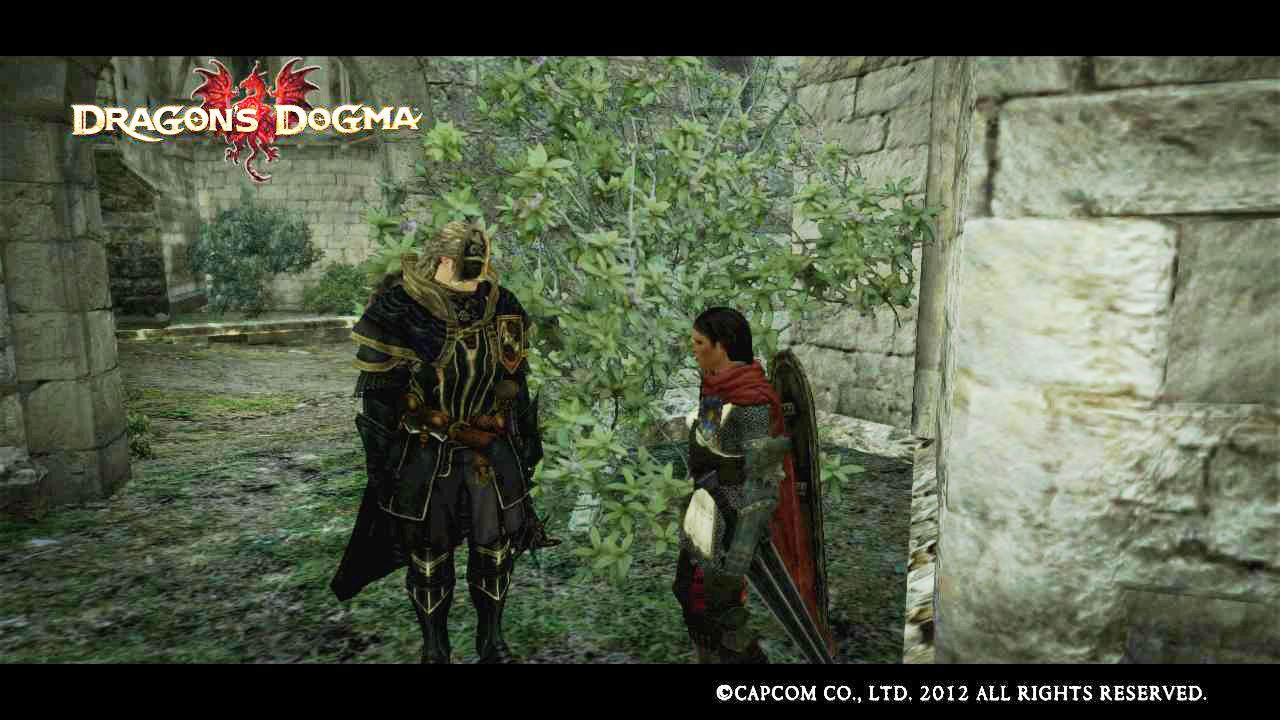 Dragon s dogma 2 безымянная деревня