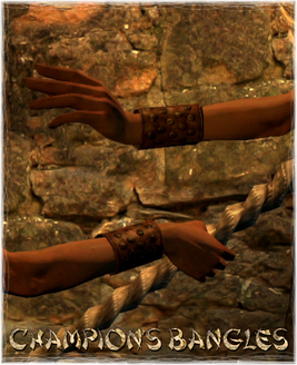 Armour Arms Champion's Bangles
