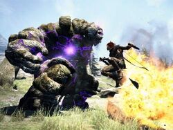 Golem, Dragon's Dogma Wiki