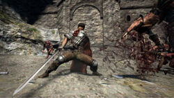 Berserk Armor Sets Dragon S Dogma Wiki Fandom