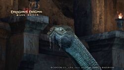 Hydra, Dragon's Dogma Wiki