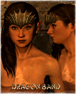 Armour Head Dragon Band