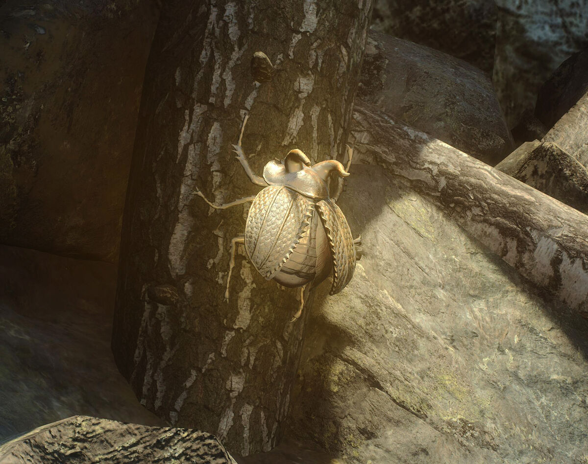 Golden Trove Beetle Dragon's Dogma Wiki Fandom