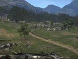Estan Plains