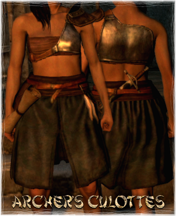 Armour Torso Archer's Culottes