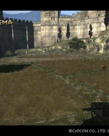 Fields Dragon S Dogma Wiki Fandom