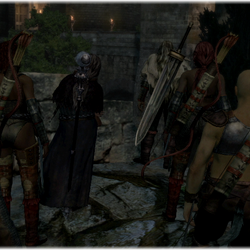 Category Glitches Dragon S Dogma Wiki Fandom