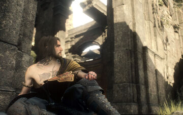 The Sotted Sage | Dragon&rsquo;s Dogma Wiki | Fandom