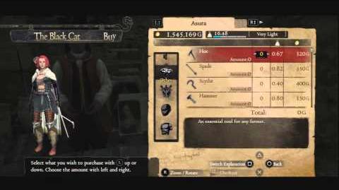 Walkthrough - here the third Wakestone Shard is bought from the Black Cat