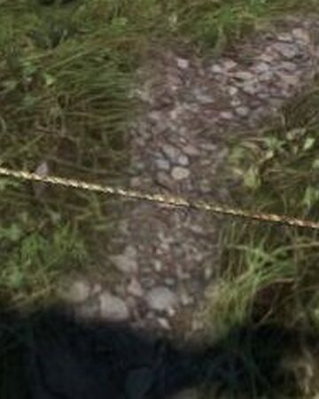 Tripwire Dragon S Dogma Wiki Fandom