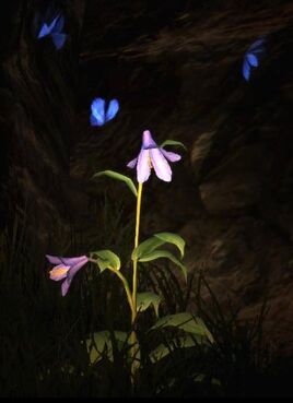 Dragon's Dogma - Moonglow