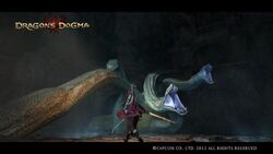 Hydra, Dragon's Dogma Wiki