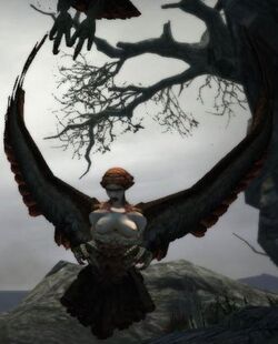 Dragon's Dogma - Harpy02