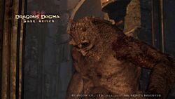 Ogre Dragon S Dogma Wiki Fandom