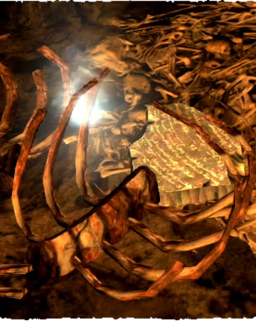 Echoes From The Beyond Dragon S Dogma Wiki Fandom Alongside your party of three, you set out to track down and destroy a mysterious dragon. echoes from the beyond dragon s dogma