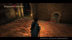 84% Dragon's Dogma: Dark Arisen on