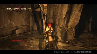 Visual of Badge On the Ground