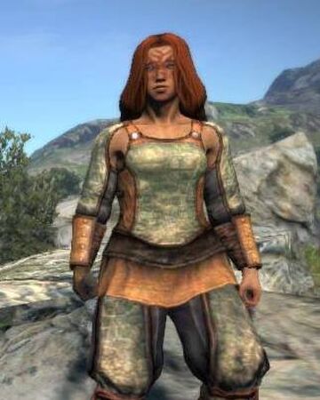 Assembled Armor And Clothing Set Dragon S Dogma Wiki Fandom Each vocation has its own separate ranking system so you don't have to requires much stamina. assembled armor and clothing set