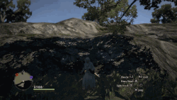 Witchwood Dragon S Dogma Wiki Fandom Witchwood Dragon S Dogma Wiki Fandom