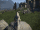 Seeker Bolt