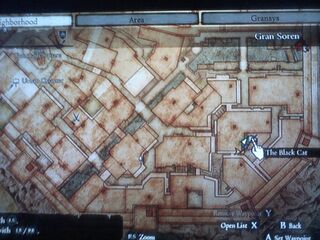 The Black Cat's Location In Gran Soren