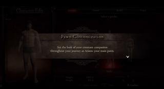 Pawn Customisation.png