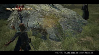 разбрызгнулся о камень