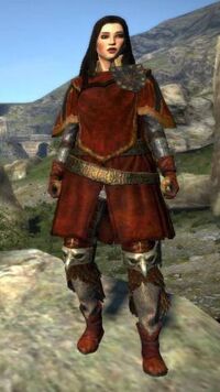 Set of Fop's Trek Wear, Dragon's Dogma Wiki