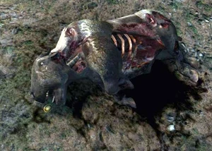 The badge, and dead Ox