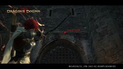 Dragons Dogma : From a Different Sky 39 - 40 