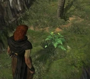 Greenwarish.jpg (45 KB)