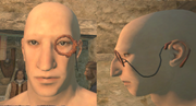 Ruminator's monocle closeup