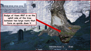 Badge of Vows 39, Dragon's Dogma Wiki