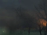 Misty Marshes