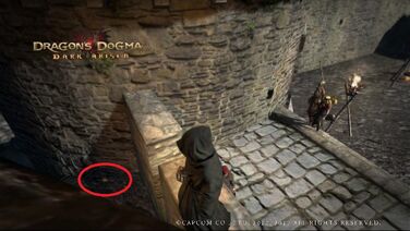 Dragons Dogma : From a Different Sky 39 - 40 