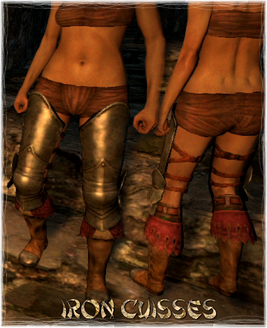 Armour Legs Iron Cuisses