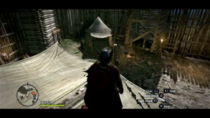 On top of canopy across from badge