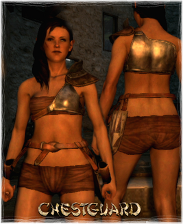 Armour Torso Chestguard