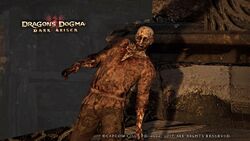 Dragons Dogma: Dark Arisen Episode 39 How to Kill Undead Dragons 