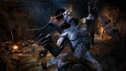 Dragon S Dogma Dark Arisen Dragon S Dogma Wiki Fandom