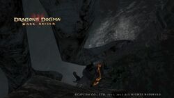 Dragon's dogma II (vocations, bestiary..) let's discuss about what we know  so far ! : r/DragonsDogma