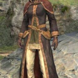 Category Spellcaster Armor Set Dragon S Dogma Wiki Fandom Category Spellcaster Armor Set Dragon S Dogma Wiki Fandom