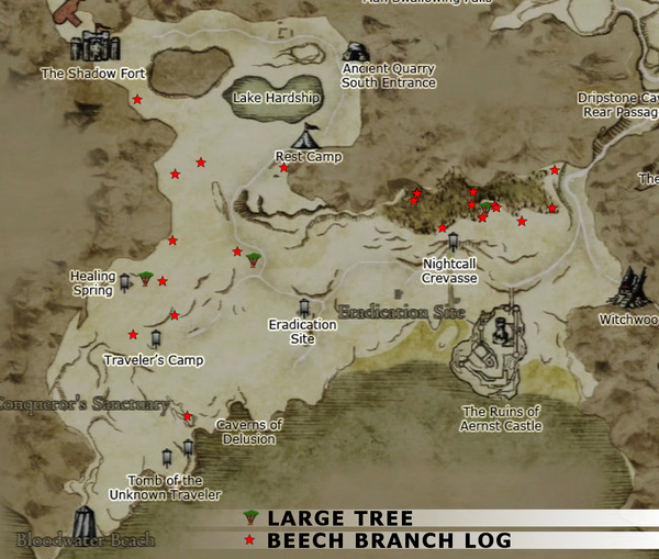 Beech Branch Dragon S Dogma Wiki Fandom Beech Branch Dragon S Dogma Wiki Fandom
