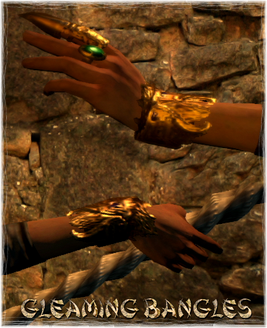 Armour Hand Gleaming Bangles