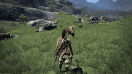 Splinter dart 2